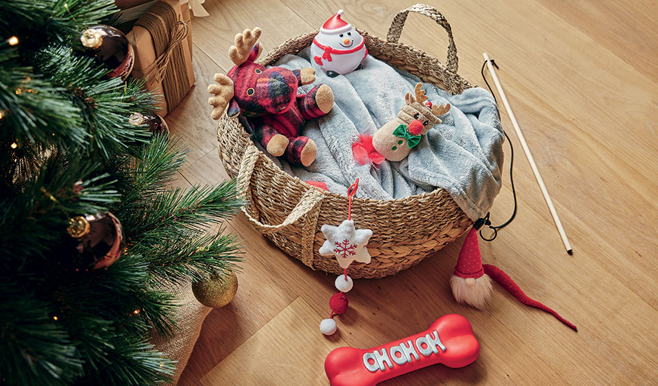 Cadeaux Noël pour chien